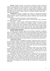 Kaimo turizmo sodyba 12 puslapis