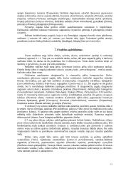 Kaimo turizmo sodyba 14 puslapis