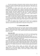 Kaimo turizmo sodyba 15 puslapis