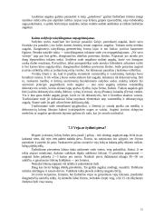 Kaimo turizmo sodyba 16 puslapis