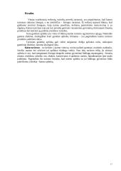 Kaimo turizmo sodyba 18 puslapis