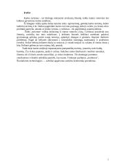 Kaimo turizmo sodyba 3 puslapis