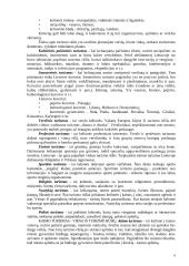 Kaimo turizmo sodyba 7 puslapis