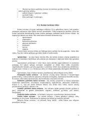 Kaimo turizmo sodyba 9 puslapis