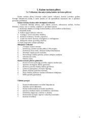 Kaimo turizmo sodyba 10 puslapis