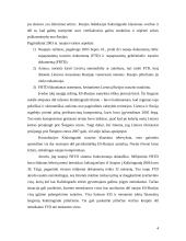 Kaliningrado tranzitas 4 puslapis