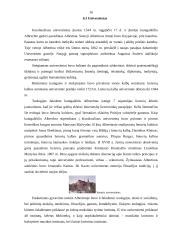 Kelionės maršrutas po Kaliningrado sritį 16 puslapis