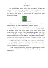 Kelionės maršrutas po Kaliningrado sritį 5 puslapis