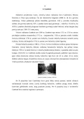 Kelionės maršrutas po Kaliningrado sritį 8 puslapis