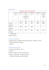 Kelionės organizavimas: Londonas 14 puslapis
