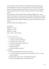 Kelionės organizavimas: Londonas 20 puslapis