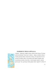 Kelionės organizavimas: Londonas 4 puslapis