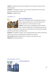 Kelionės organizavimas: Londonas 10 puslapis