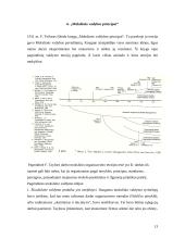 Klasikinės vadybos teorijos kūrėjas - Frederickas Winslow Tayloras 13 puslapis