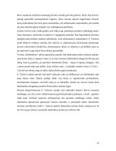 Klasikinės vadybos teorijos kūrėjas - Frederickas Winslow Tayloras 19 puslapis