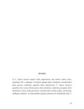 Klasikinės vadybos teorijos kūrėjas - Frederickas Winslow Tayloras 20 puslapis