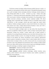 Kokybiniai sociologinio tyrimo metodai 2 puslapis