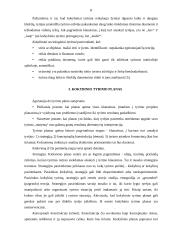 Kokybiniai sociologinio tyrimo metodai 7 puslapis