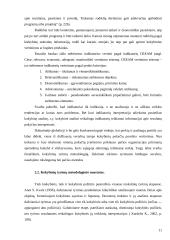 Kokybinių pokyčių rodiklių sistema 11 puslapis