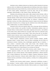 Kokybinių pokyčių rodiklių sistema 12 puslapis