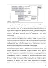 Kokybinių pokyčių rodiklių sistema 16 puslapis