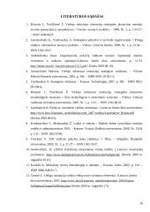 Kokybinių pokyčių rodiklių sistema 20 puslapis