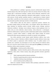 Kokybinių pokyčių rodiklių sistema 3 puslapis