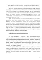 Kokybinių pokyčių rodiklių sistema 4 puslapis