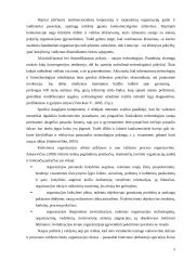 Kokybinių pokyčių rodiklių sistema 5 puslapis