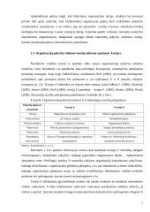 Kokybinių pokyčių rodiklių sistema 7 puslapis