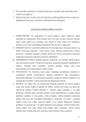 Kolektyvo formavimas 11 puslapis