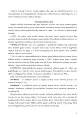 Kolektyvo formavimas 6 puslapis