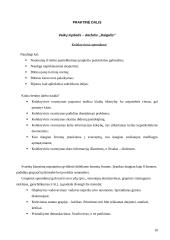 Kolektyvo formavimas 10 puslapis