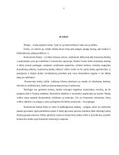 Komercinių bankų veikla Lietuvoje ir jos reglamentavimas 3 puslapis