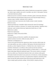 Komunikacija ir šiuolaikinis verslas 2 puslapis