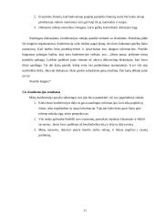 Konferencijos organizavimas: Amerikietiškų automobilių importo žala naujų automobilių prekybai Lietuvoje 10 puslapis