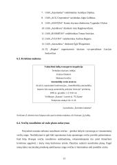 Konferencijos organizavimas: Amerikietiškų automobilių importo žala naujų automobilių prekybai Lietuvoje 12 puslapis