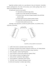 Konferencijos organizavimas: Amerikietiškų automobilių importo žala naujų automobilių prekybai Lietuvoje 13 puslapis