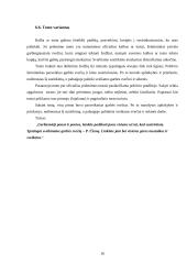 Konferencijos organizavimas: Amerikietiškų automobilių importo žala naujų automobilių prekybai Lietuvoje 15 puslapis