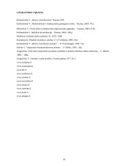 Konferencijos organizavimas: Amerikietiškų automobilių importo žala naujų automobilių prekybai Lietuvoje 18 puslapis