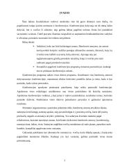 Konferencijos organizavimas: Amerikietiškų automobilių importo žala naujų automobilių prekybai Lietuvoje 2 puslapis