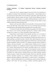 Konferencijos organizavimas: Amerikietiškų automobilių importo žala naujų automobilių prekybai Lietuvoje 7 puslapis