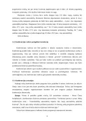 Konferencijos organizavimas: Amerikietiškų automobilių importo žala naujų automobilių prekybai Lietuvoje 8 puslapis