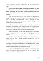 Konferencijos organizavimas: "Skurdas Lietuvoje ir žmogaus teisės" 11 puslapis