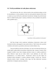 Konferencijos organizavimas: "Skurdas Lietuvoje ir žmogaus teisės" 14 puslapis