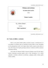 Konferencijos organizavimas: "Skurdas Lietuvoje ir žmogaus teisės" 16 puslapis