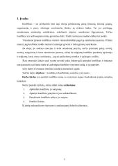 Konflikto samprata, ypatybės ir raida 3 puslapis