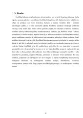 Konflikto samprata, ypatybės ir raida 10 puslapis