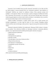 Konfliktas: priežastys, raida, pasekmės ir sprendimo būdai 10 puslapis