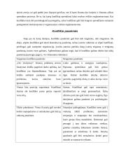 Konfliktų sprendimo procesas 13 puslapis